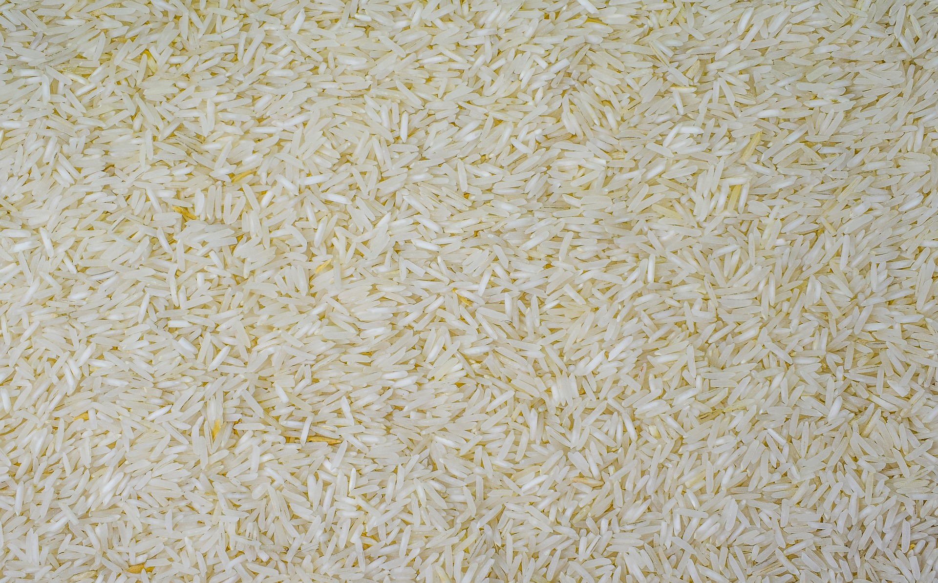 Basmati Rice